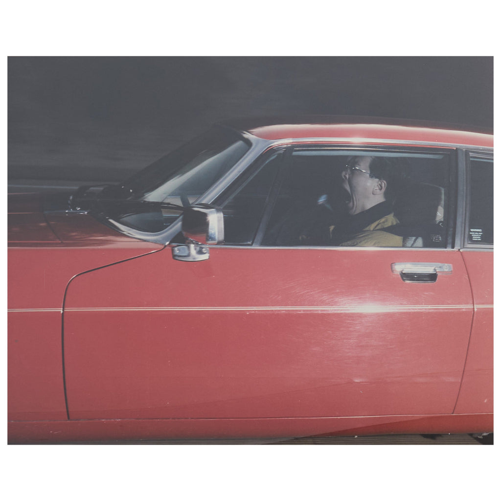 Andrew Bush Vector Portrait "Screaming Yawn" 1993