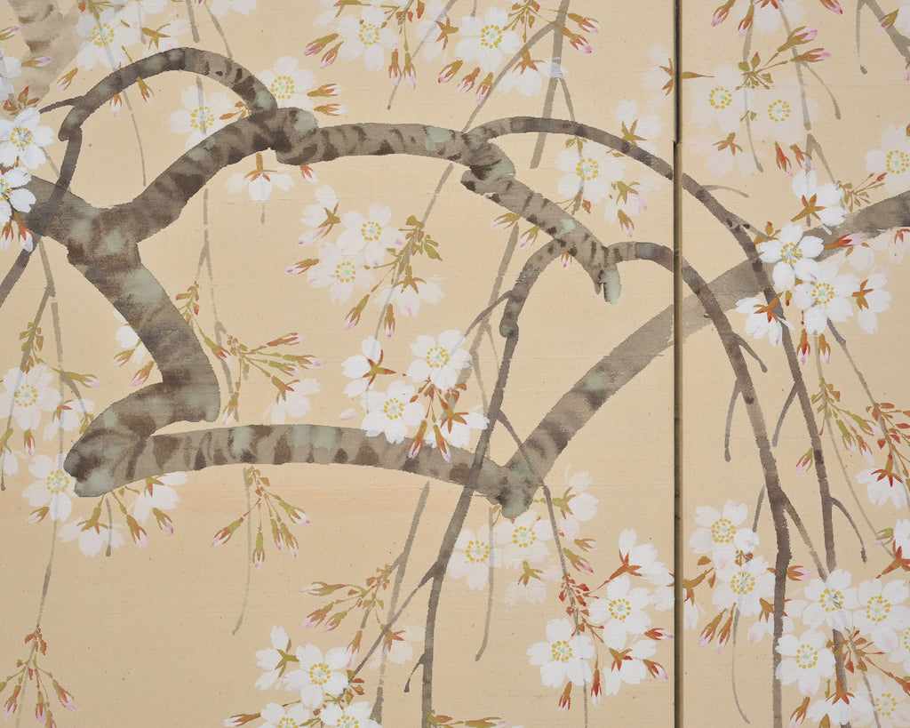 Japanese Showa Four Panel Screen Flowering Cherry Blossom