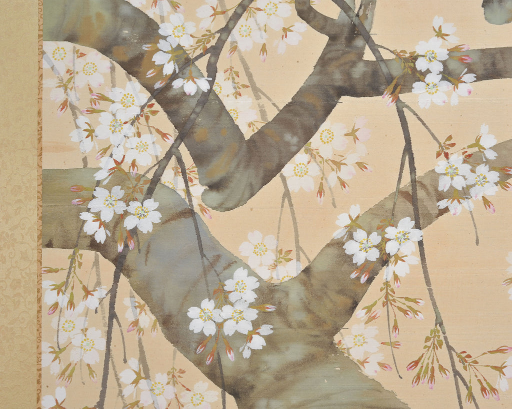 Japanese Showa Four Panel Screen Flowering Cherry Blossom