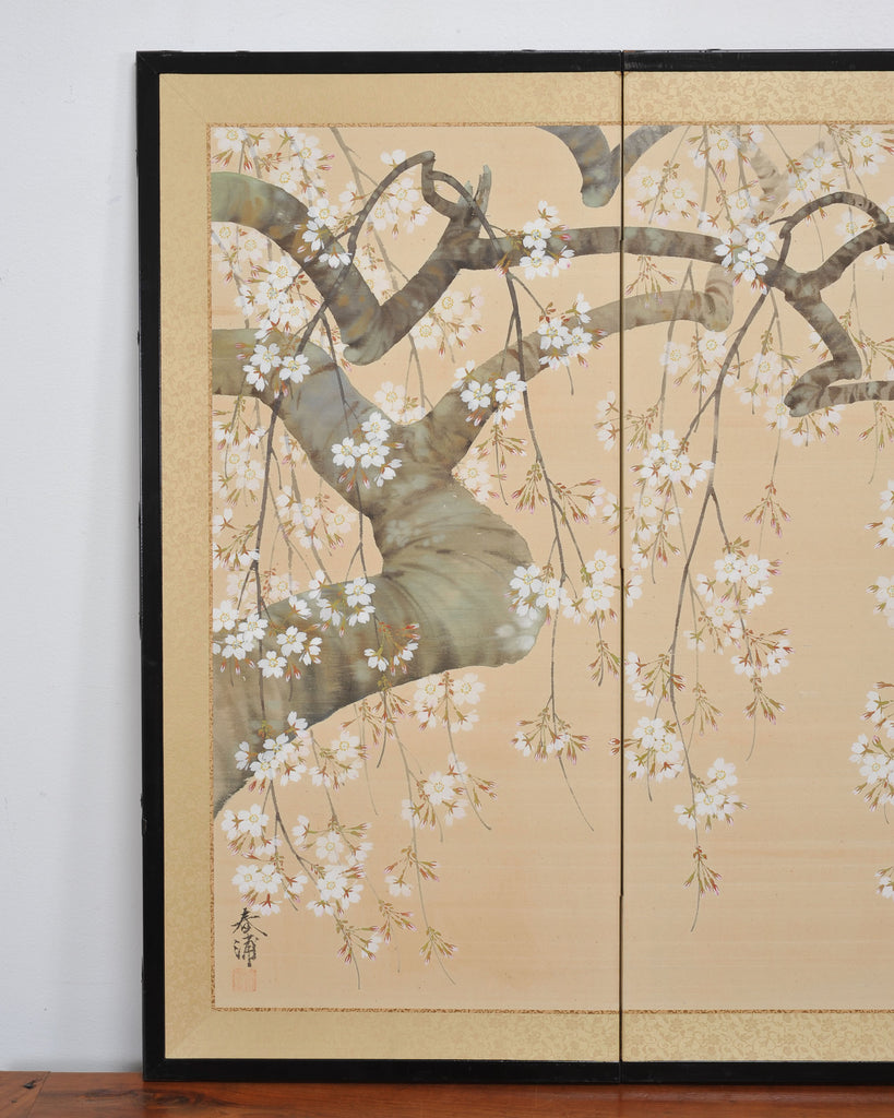 Japanese Showa Four Panel Screen Flowering Cherry Blossom