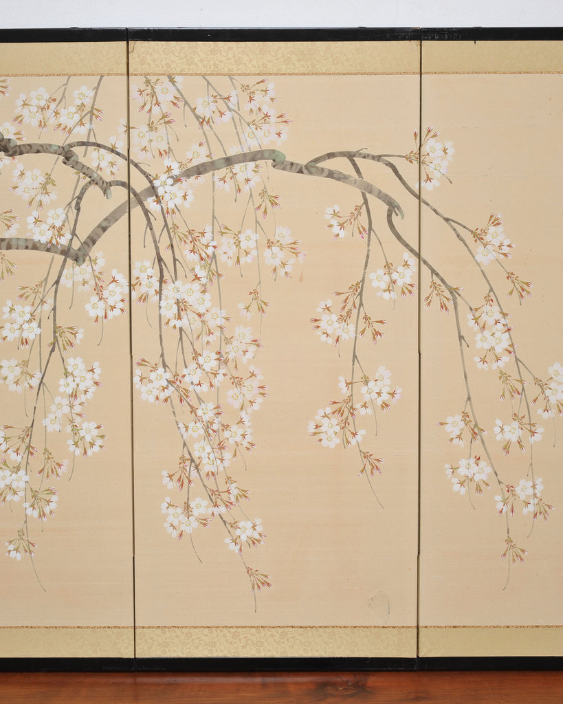 Japanese Showa Four Panel Screen Flowering Cherry Blossom