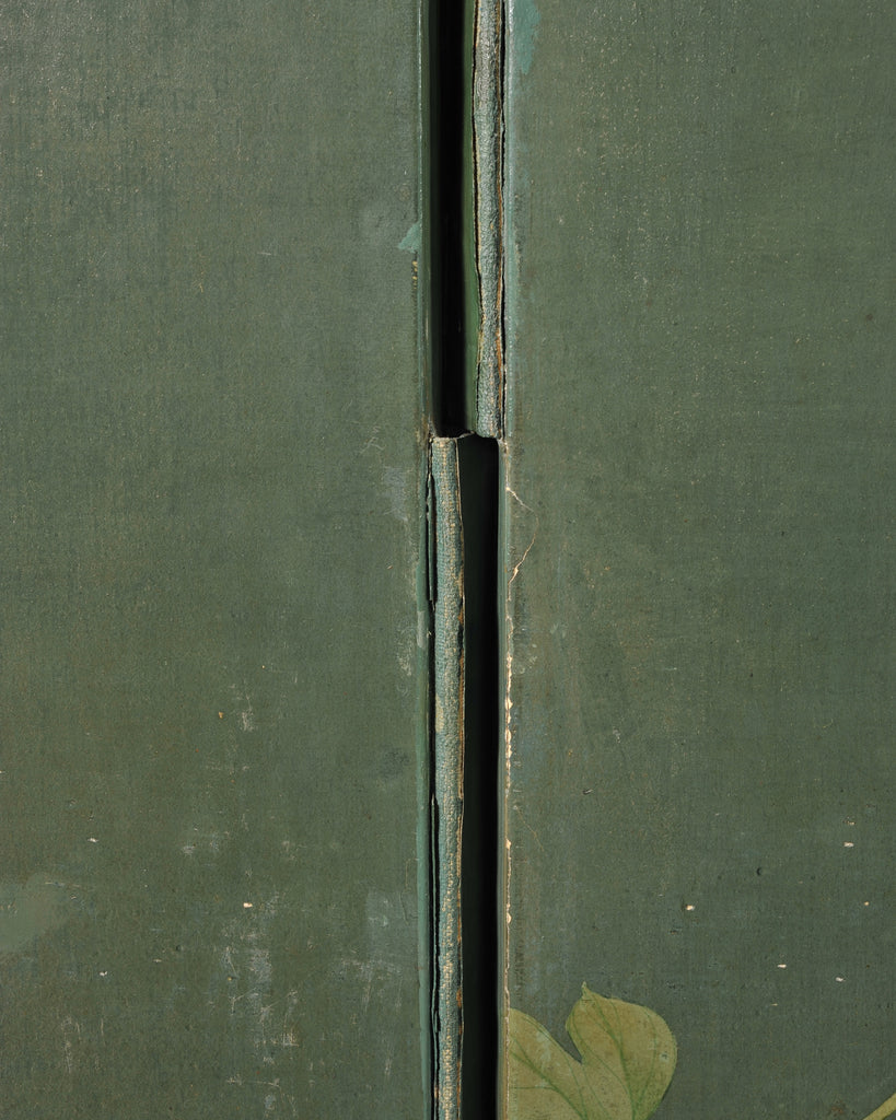 English Chinoiserie Decorated Flora and Fauna Folding Screen