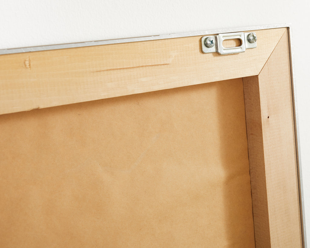 Audobon Trumpeter Swan Plate #82 Oppenheimer Edition