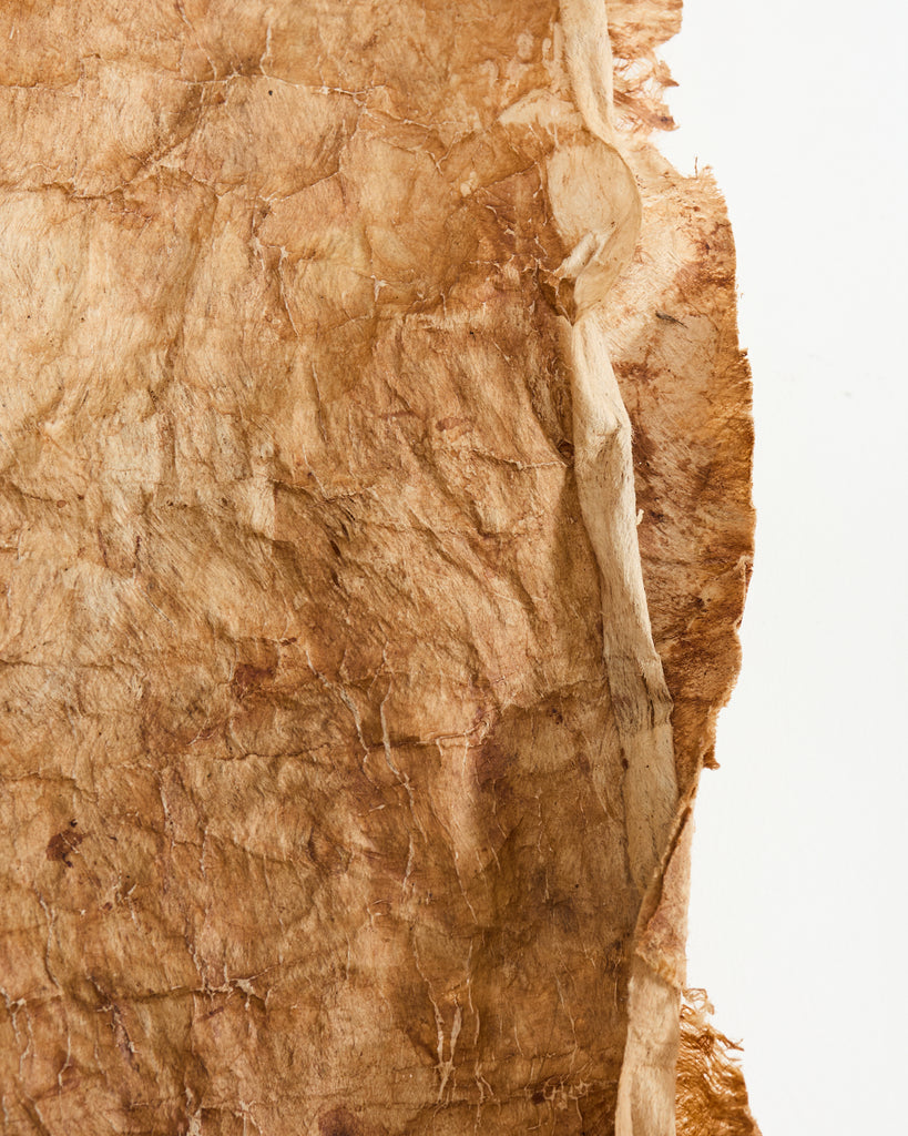 Tribal Style 12 Ft Polynesian Tapa Bark Cloth from Tonga