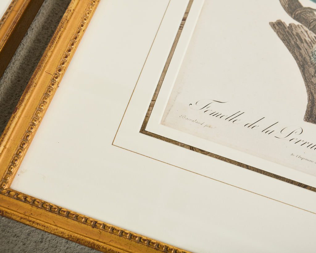Pair Jacques Barraband Hand Colored Ornithological Bird Prints