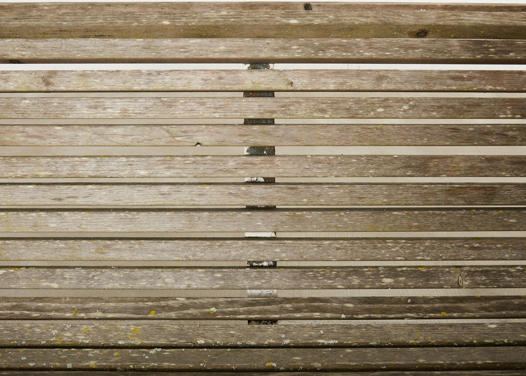 Country English Victorian Faux Bois Iron Garden Bench