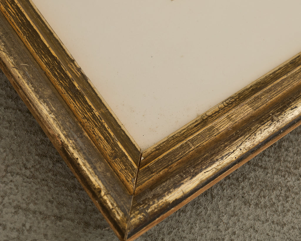 19th Century Set of Four French Colored Prints of Prunus