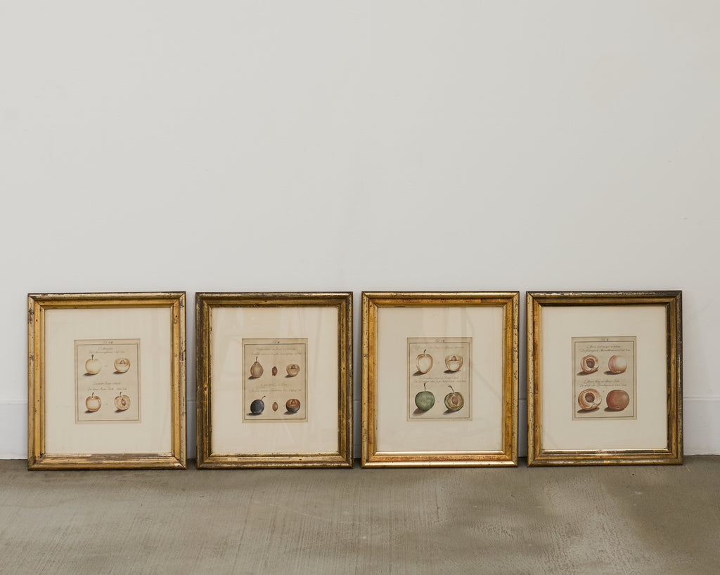 19th Century Set of Four French Colored Prints of Prunus