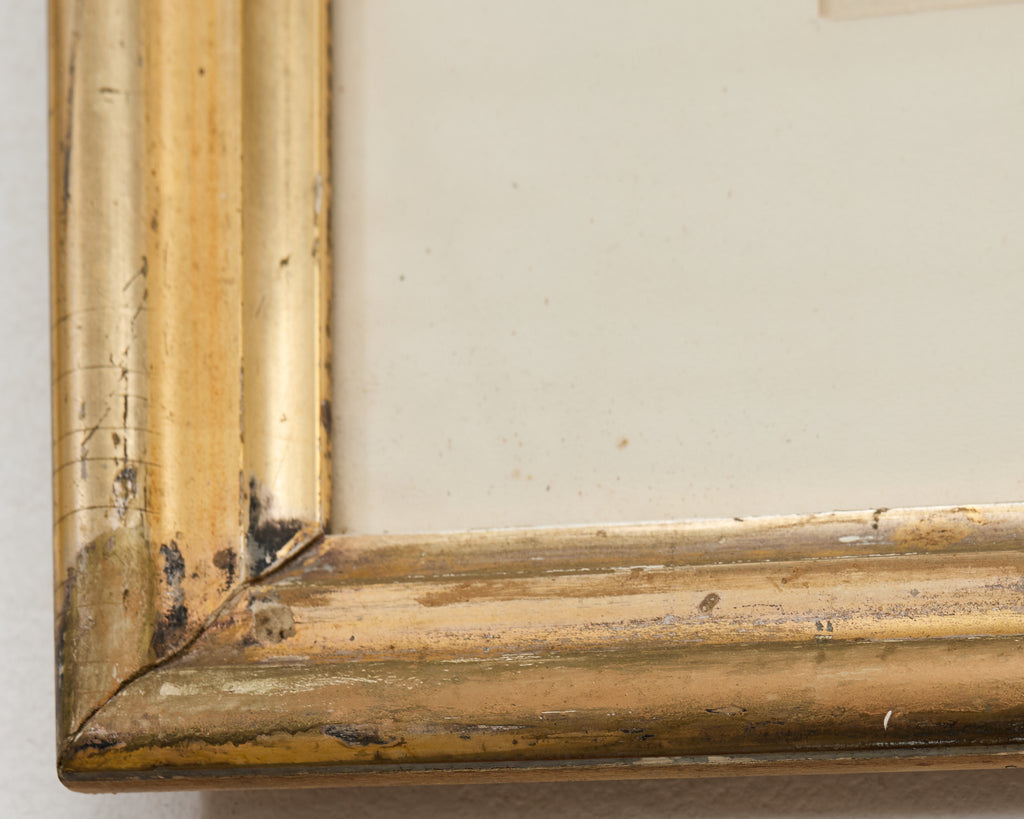 19th Century Set of Four French Colored Prints of Prunus