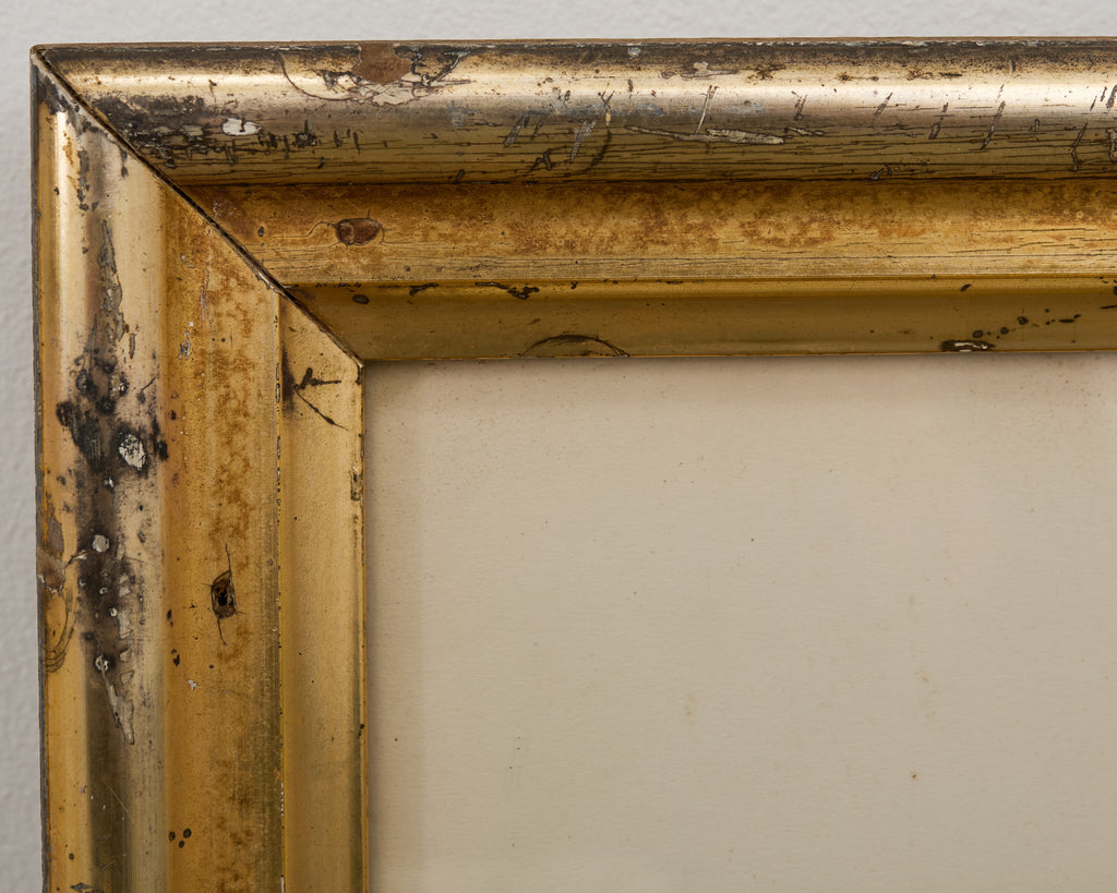 19th Century Set of Four French Colored Prints of Prunus