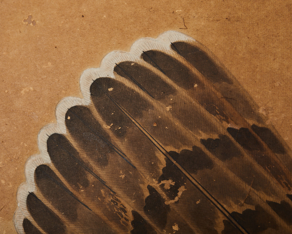 Japanese Edo Two Panel Screen Birds of Prey Hawks