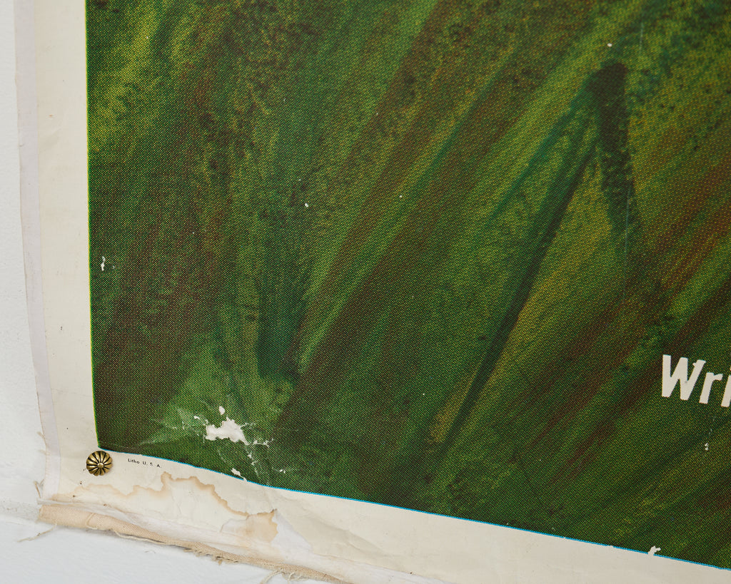 Jungle Cat Disney Movie Poster on Linen 7ft 1960