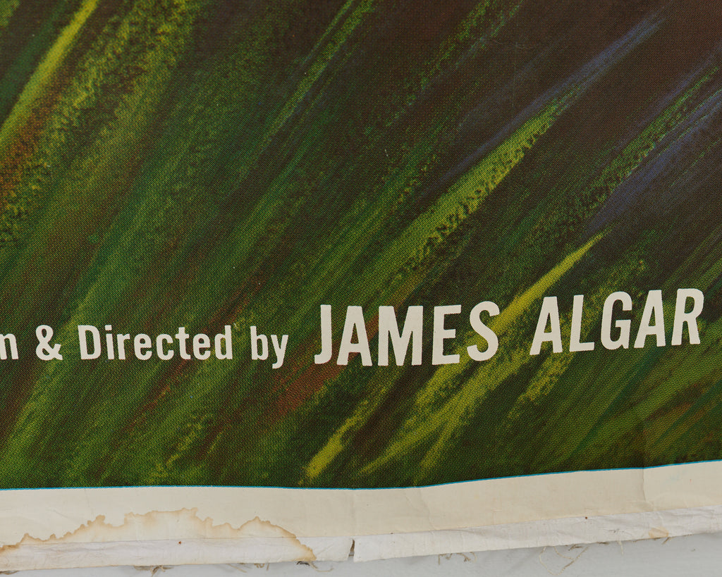 Jungle Cat Disney Movie Poster on Linen 7ft 1960