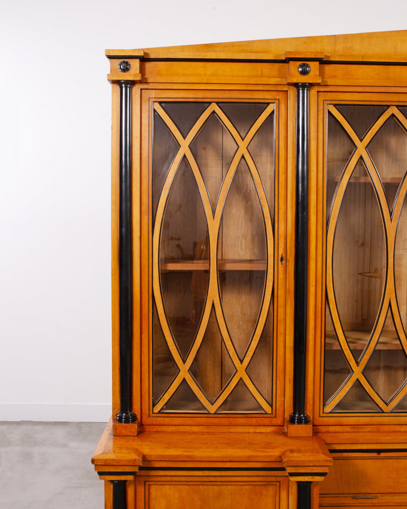 19th Century Austrian Biedermeier Fruitwood Bibliotheque Bookcase
