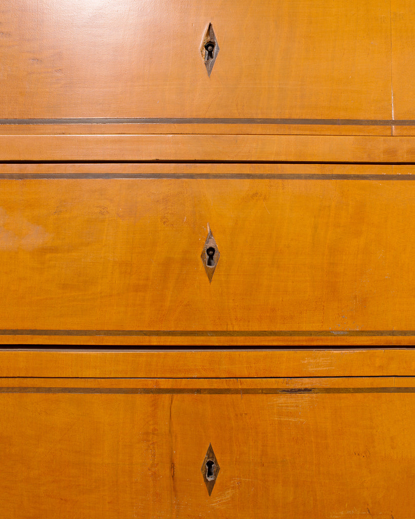 19th Century Austrian Biedermeier Fruitwood Bibliotheque Bookcase