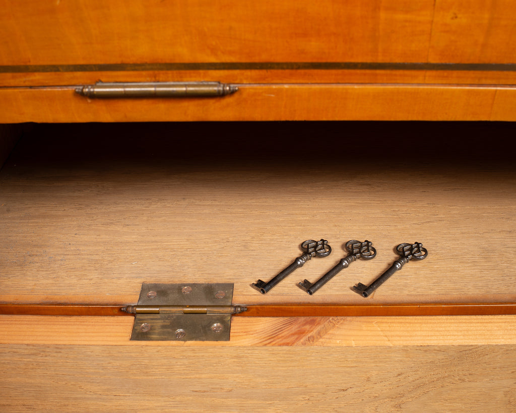 19th Century Austrian Biedermeier Fruitwood Bibliotheque Bookcase