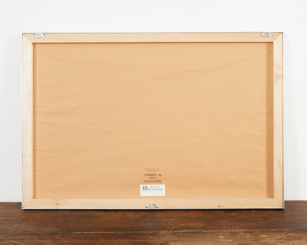 Audubon Long Billed Curlew Plate #231 Havell Oppenheimer Edition