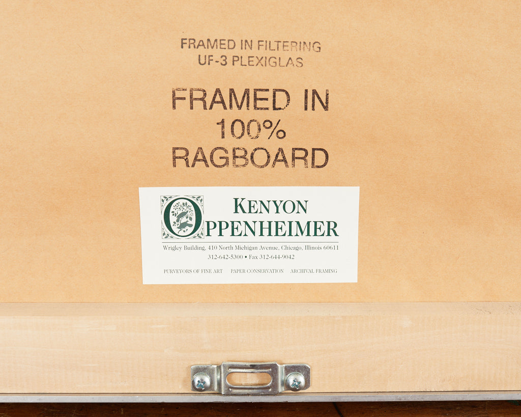 Audubon Long Billed Curlew Plate #231 Havell Oppenheimer Edition