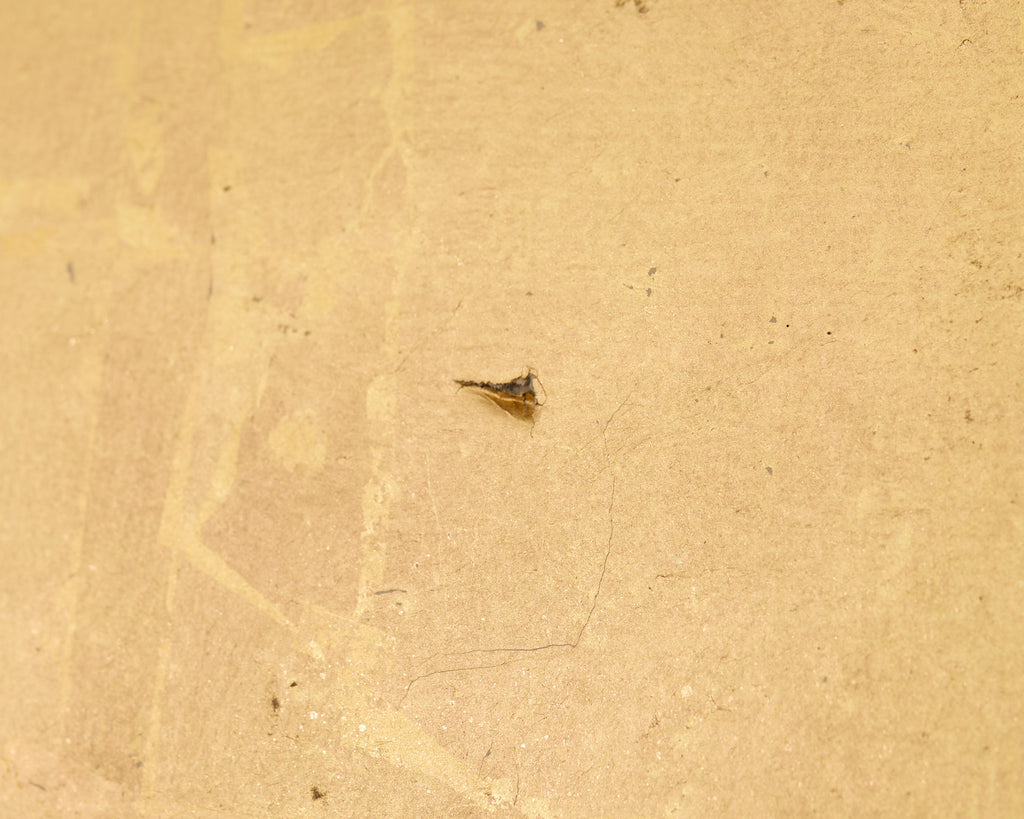 Pair of Japanese Meiji Screens Blossoms of Spring, Summer and Autumn