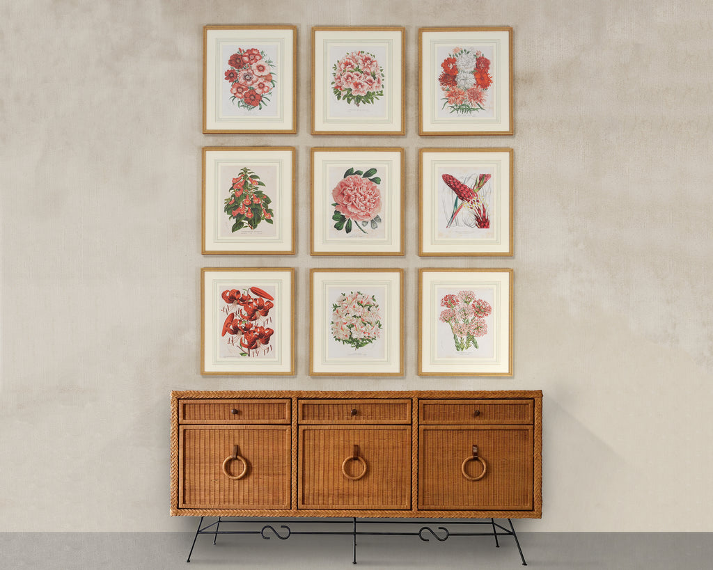 Set of Nine Botanical Lithograph Prints after Louis Van Houtte