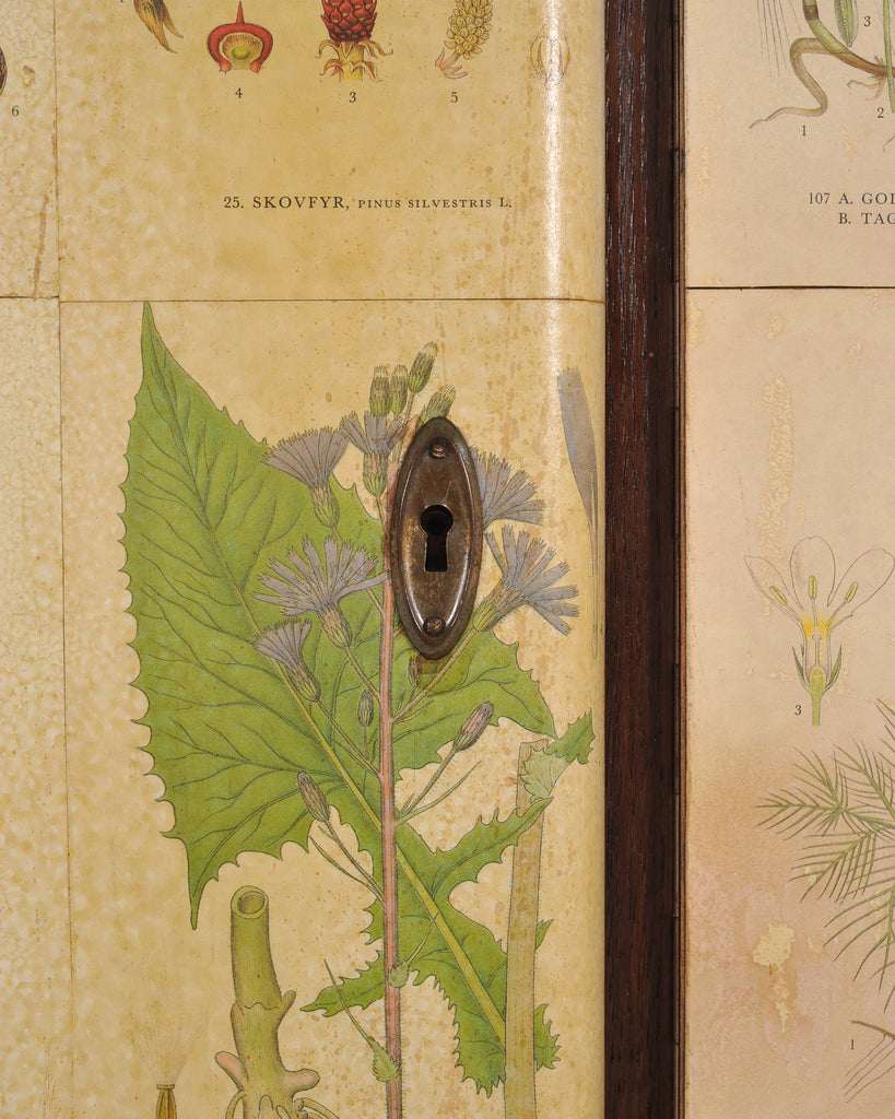 1940s Swedish Modern Nordens Flora Botanical Sideboard Cabinet