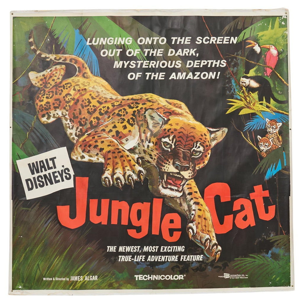 Jungle Cat Disney Movie Poster on Linen 7ft 1960