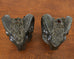 Pair of Neoclassical Style Jade Rams Head Pottery Sculptures