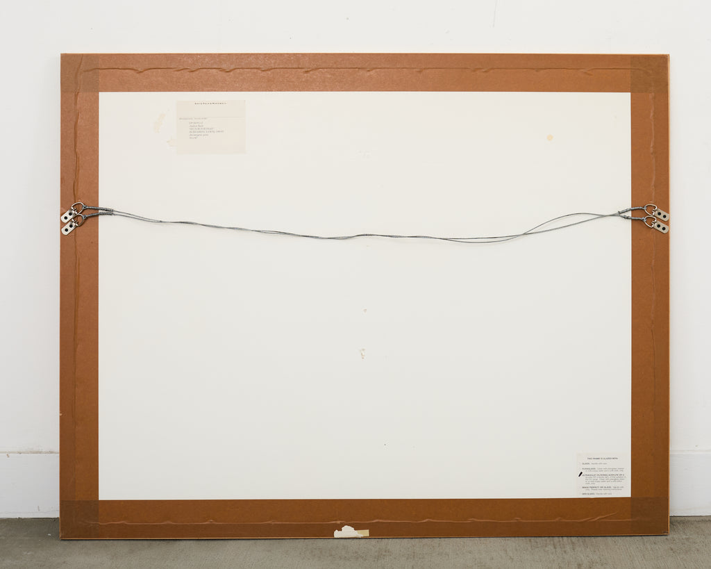 Andrew Bush Vector Portrait "Screaming Yawn" 1993