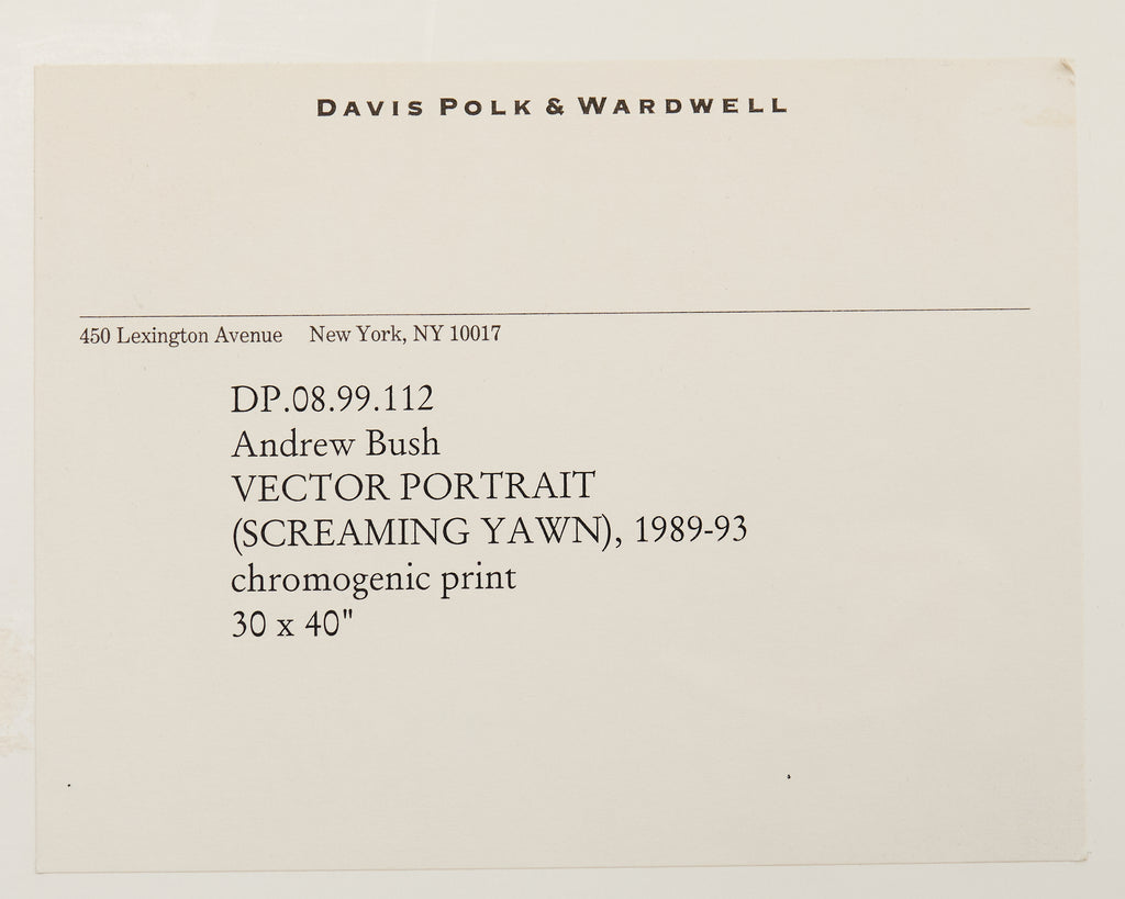Andrew Bush Vector Portrait "Screaming Yawn" 1993