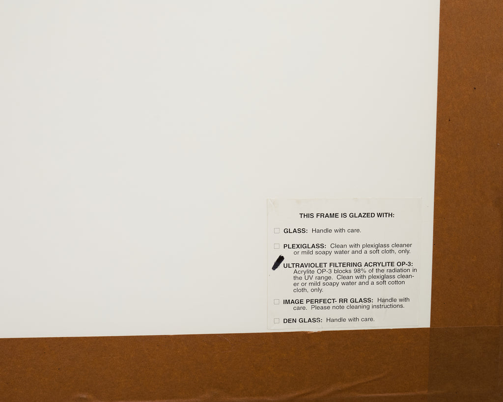 Andrew Bush Vector Portrait "Screaming Yawn" 1993