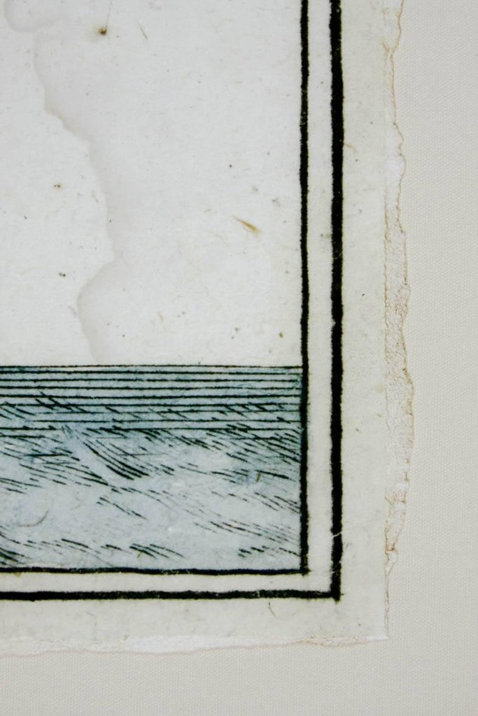 18th Century Botanical Seaweed Print from Natural Curiosities