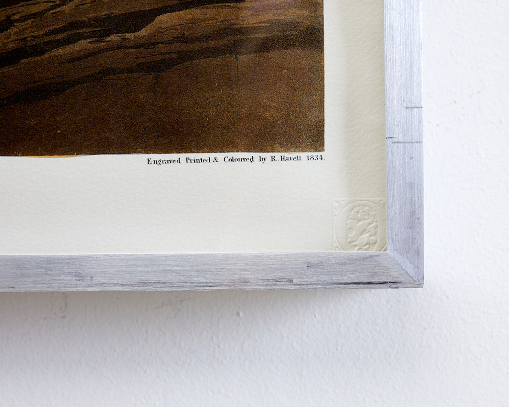 Audubon Whooping Crane Plate #226 Havell Oppenheimer Edition