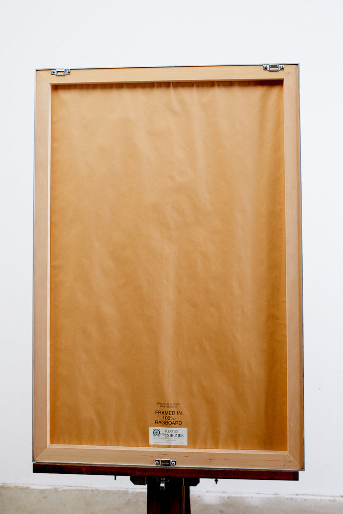 Audubon Whooping Crane Plate #226 Havell Oppenheimer Edition