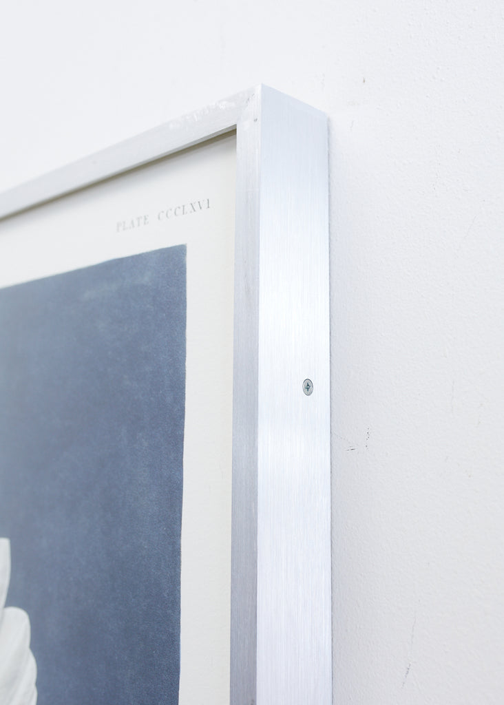 Audubon Iceland or Jer Falcon Plate #366 Havell Oppenheimer Edition