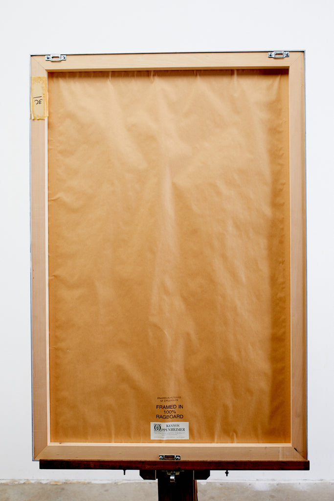 Audubon Iceland or Jer Falcon Plate #366 Havell Oppenheimer Edition