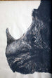 Large Framed Drawing of a Baby Rhino Head