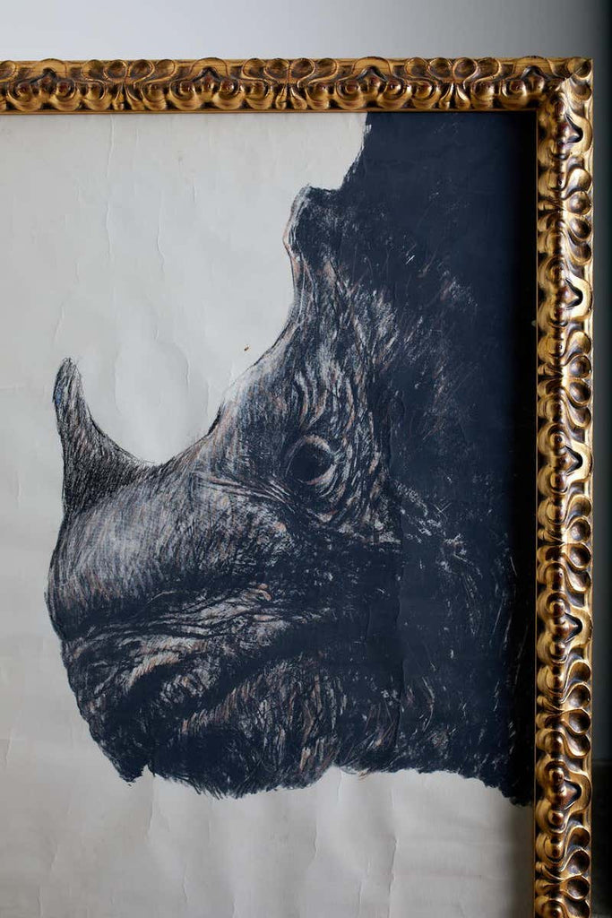 Large Framed Drawing of a Baby Rhino Head