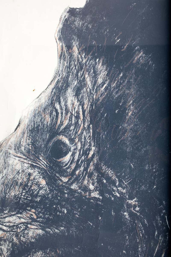 Large Framed Drawing of a Baby Rhino Head