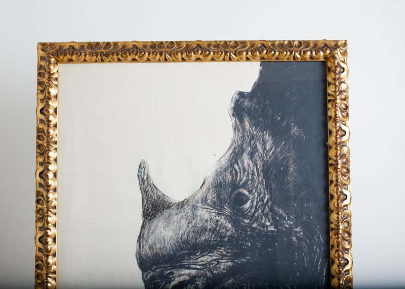 Large Framed Drawing of a Baby Rhino Head