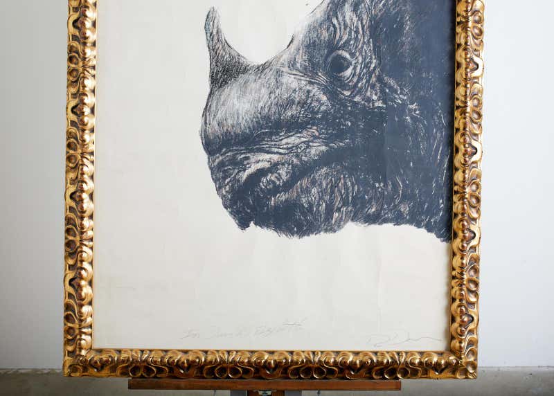 Large Framed Drawing of a Baby Rhino Head