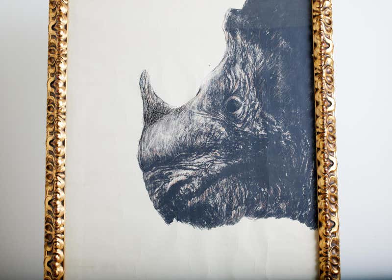 Large Framed Drawing of a Baby Rhino Head