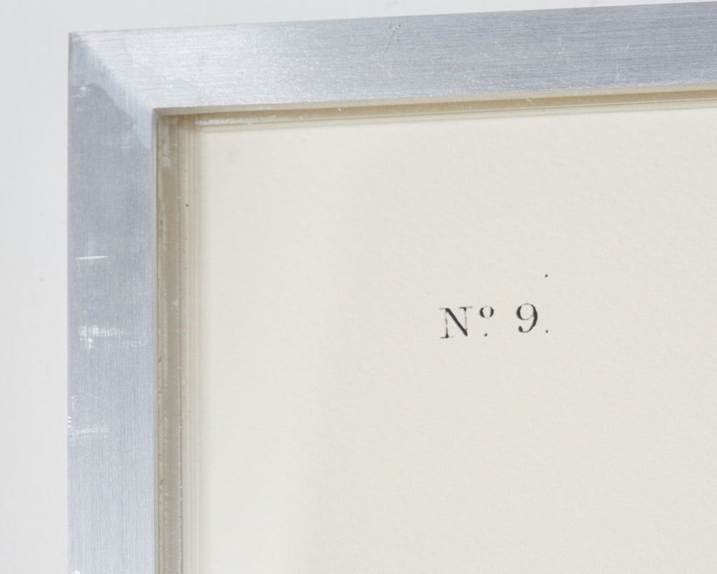 Audubon Ruffed Groüse Plate #41 Havell Edition