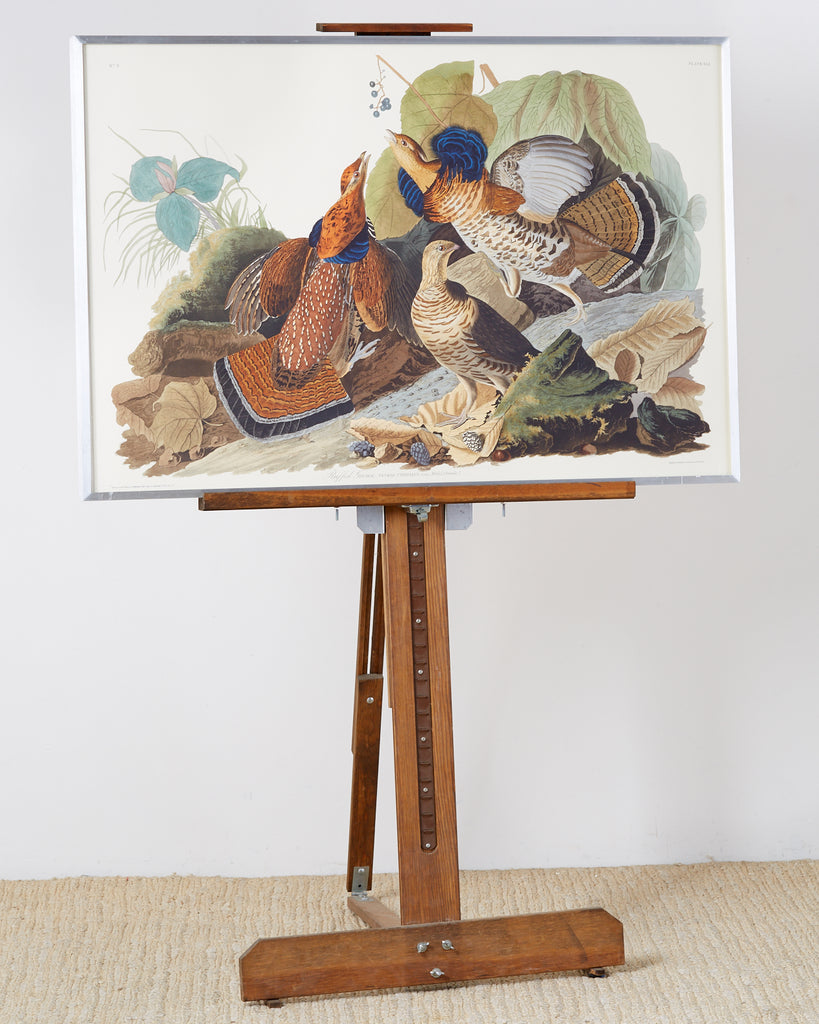 Audubon Ruffed Groüse Plate #41 Havell Edition