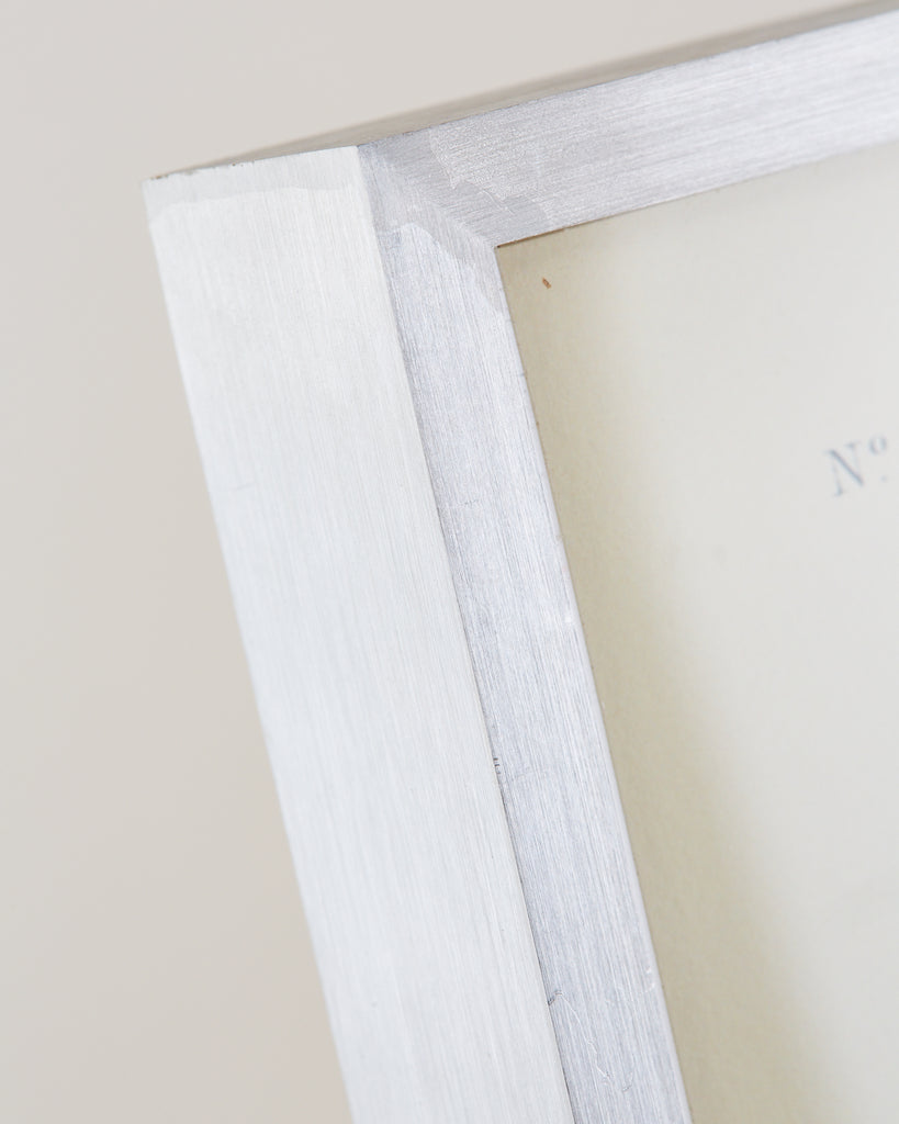 Audubon Ruffed Groüse Plate #41 Havell Edition