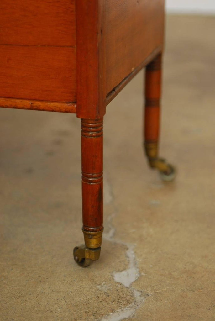 19th Century English Regency Style Mahogany Canterbury