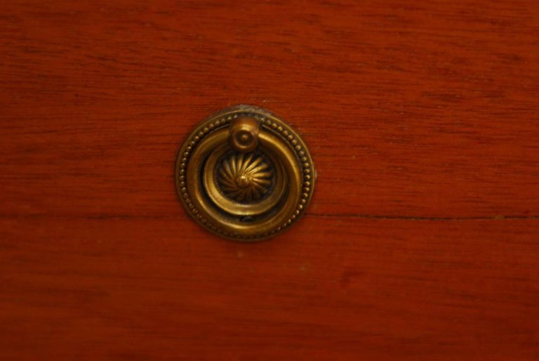 19th Century English Regency Style Mahogany Canterbury