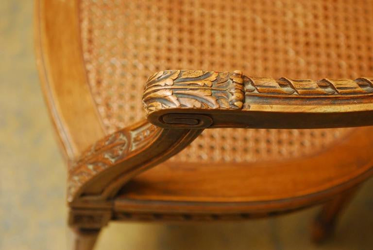 Neoclassical Louis XVI Shield Back Caned Fauteuil