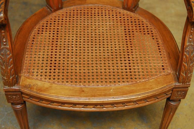 Neoclassical Louis XVI Shield Back Caned Fauteuil