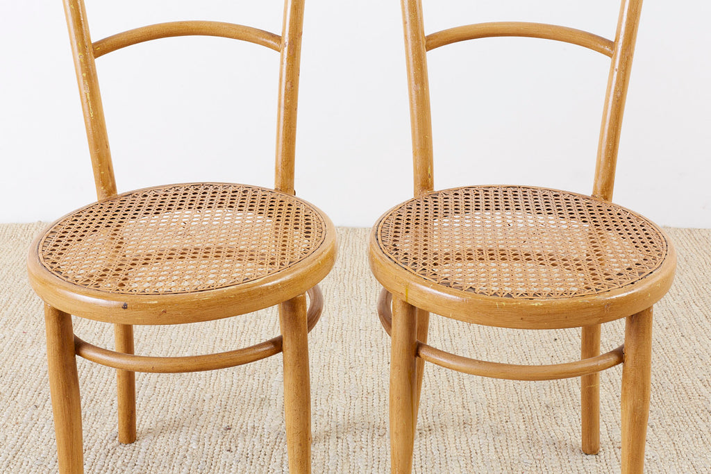 Pair of J. and J. Kohn Austrian Bentwood and Cane Chairs