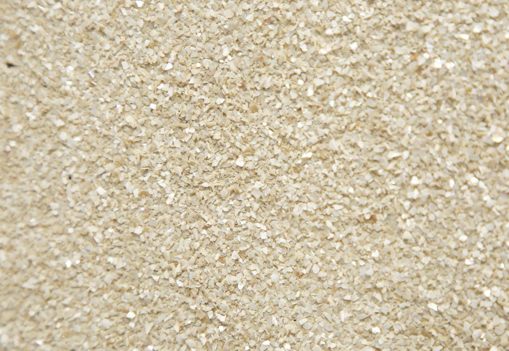 Chinese Export Four Panel Coromandel Screen Pearlescent Landscape